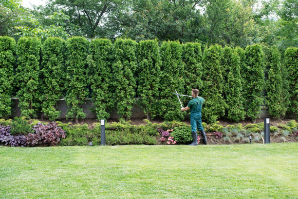 Best Organic Lawn Care Solutions  in Newport, WA