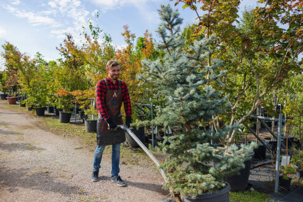 Best Tree Health Inspection  in Newport, WA